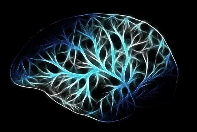 nervecalm Support nervecalm for Brain Health